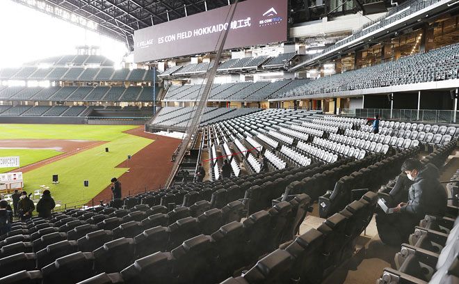 コスパがいい席は？現地で何を買えばいい？初めての野球観戦完全ガイド