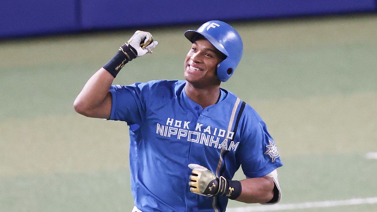 新庄監督も認める身体能力！日本ハム・万波中世のプロフィールまとめ